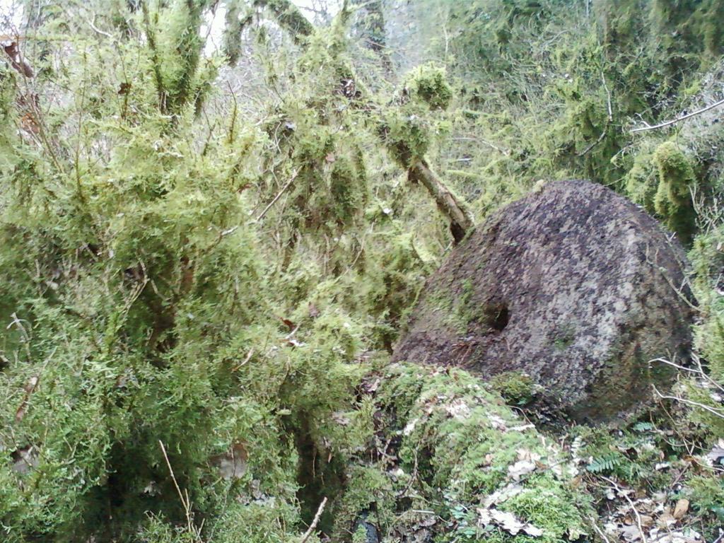 Hébergement de vacances De Charme Auvergne Cab'âne Brousse