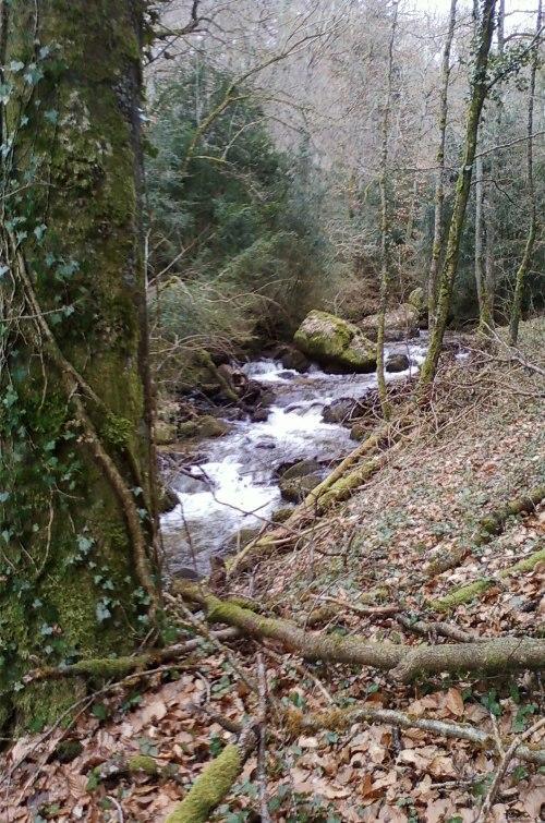 De Charme Auvergne Cab'âne Hébergement de vacances Brousse